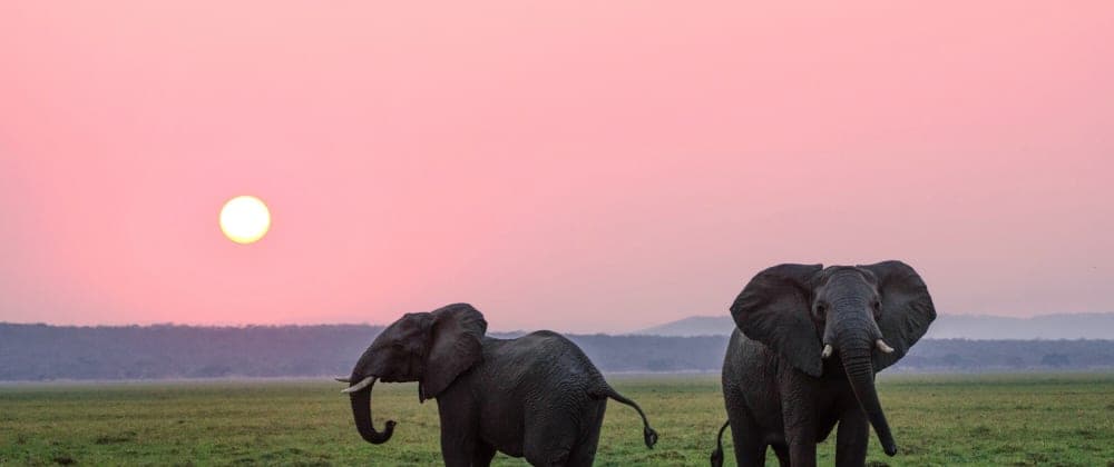 Python pytest testing with SQLAlchemy for my game